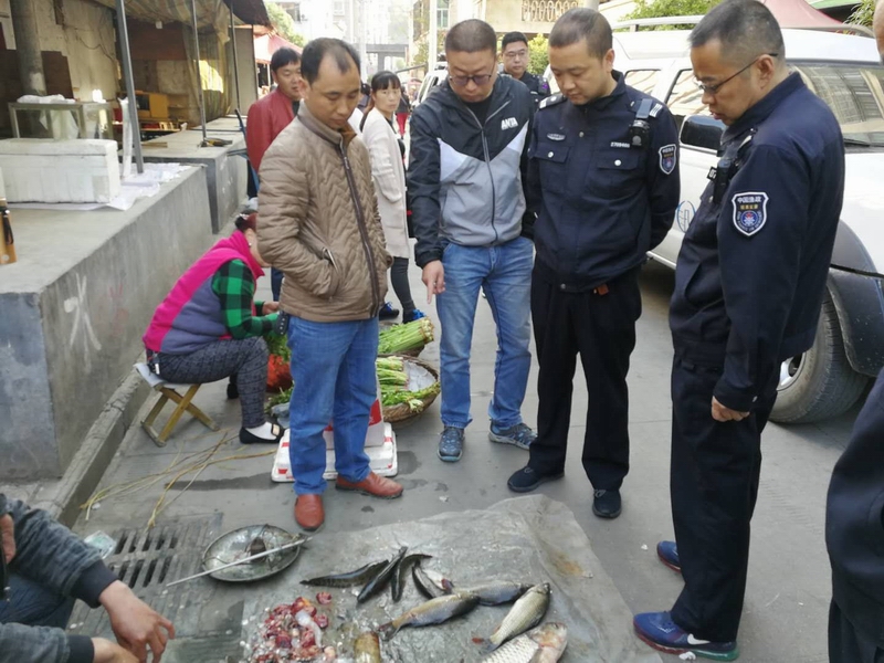 石泉渔政执法人员在菜市场查获非法捕捞渔获物.jpg